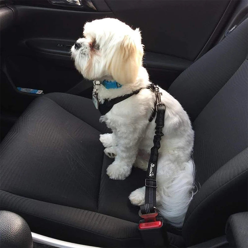 adjustable pet car seat belt leash